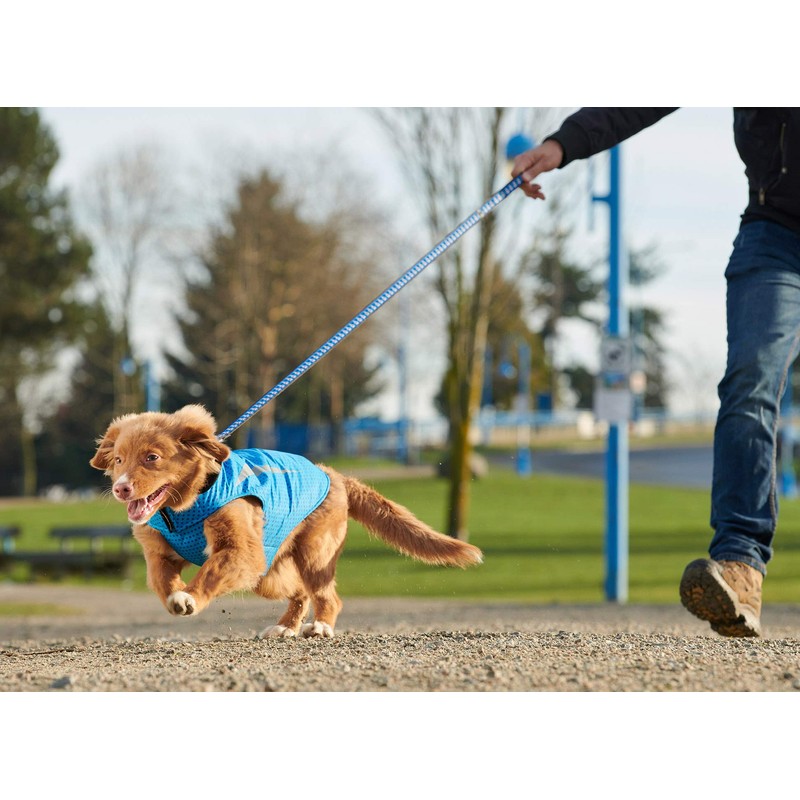 RC Pet Products 67408269 Shasta Jacket Fleece Lined Dog Coat,