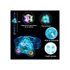 Fiesta Neon Led Luz Con 18 Anillos 6pulseras Neon Giratorias
