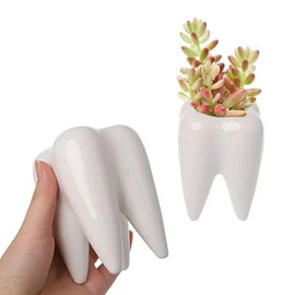 LECMACY Cute Tooth Shaped White Ceramic Planter Pots Flower Plant Containers, Mini Ceramic Succulent Planter Pots, Creative Pen Pencil Holder for Office Home Desk Decor, Plants Not Included