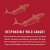 King Oscar Mackerel in Olive Oil with Lemon, 4.05 Ounce