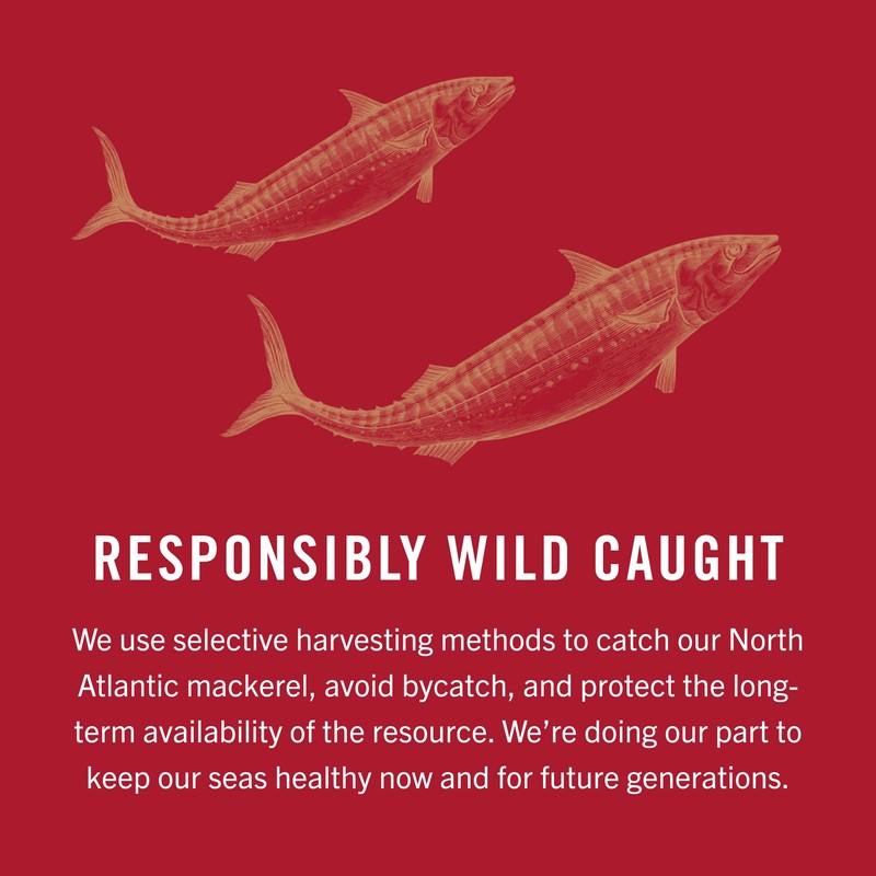 King Oscar Mackerel in Olive Oil with Lemon, 4.05 Ounce