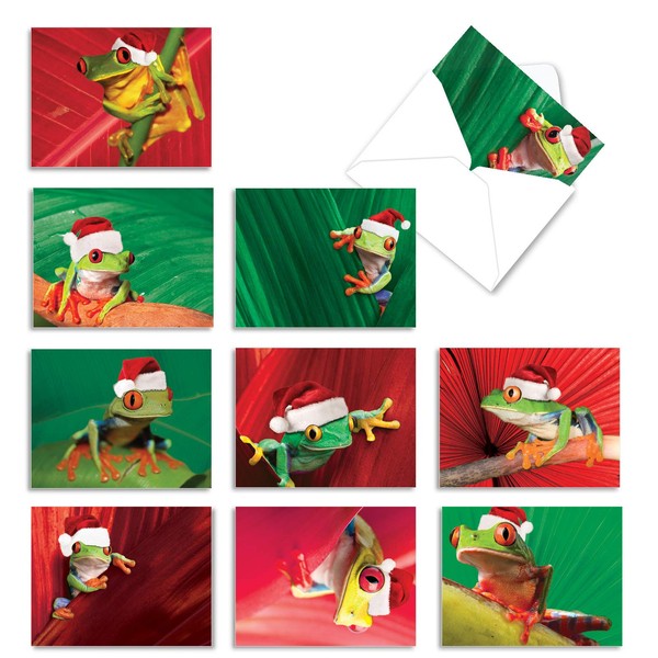 M1754XSsl Yule Frogs: 10 Assorted Christmas Note Cards Feature Tiny