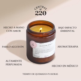 Central 220 | Vela Aromática Blossom Berries | frutos rojos, flores, lima, naranja y violetas. | Aromaterapia: Alegría | 200g | Duración 40-60 Horas