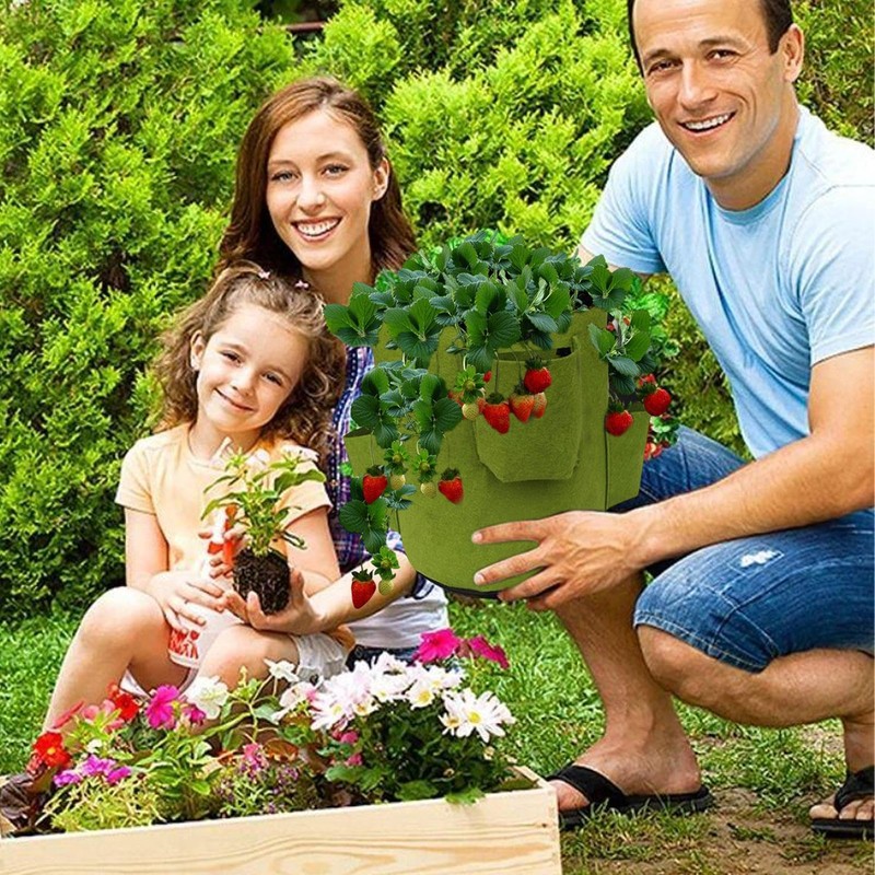 Strawberry Planter Grow Bag - Hangable Tomato Planter,5 Gallon Felt