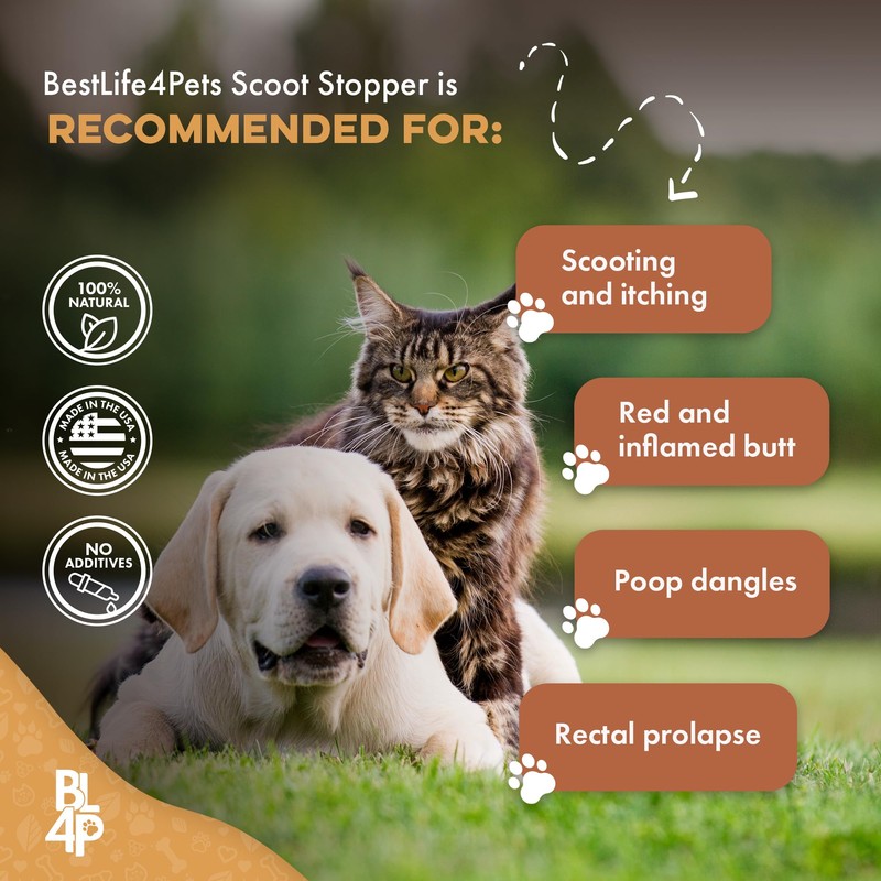 Scoot Stopper for Dogs & Cats – Natural Anal Gland