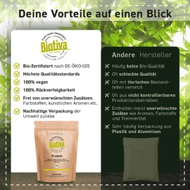 Bio Beeren Booster Pulver 400g - Superfood mit pflanzlichem Protein, Acai, Acerola & Maca - Mit Rote Beete & Ingwer - Ohne Zuckerzusatz, Gluten & Laktose - DE-ÖKO-005 - Biotiva