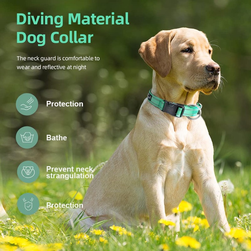 EXCELLENT ELITE SPANKER Reflective Dog Collar with Safety Clasp, Adjustable