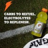 Gatorade Thirst Quencher, Cool Blue, 12 Fl Oz Pack of