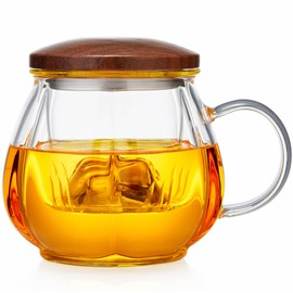 Unbreakable Glass Tea Cup with Infuser and Lid - 15.6oz Tea Mug for Loose Leaf Tea, Infusion Mug with Glass Filter and Wood Lid