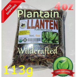 Mexican Herbs & root Llanten 4oz Plantago Mayor Plantein Hierba Te/ Natural Herbal Infusion wildcraft