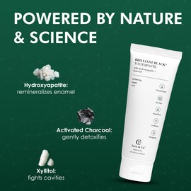 Terra & Co. Brilliant Black Hydroxyapatite Toothpaste for Whitening Teeth – USA-Made - Natural Remineralizing Toothpaste, Fluoride-Free, Vegan, SLS-Free, Low Abrasion – Mint, 3.4 oz