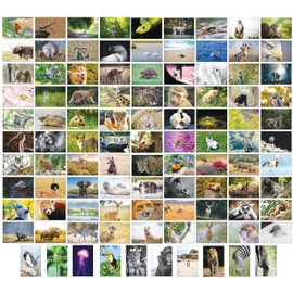 Bear and Bee 100 Animal Postcards with 100 Different Motifs Postcards Animals (100 Photo Cards)