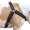 Cotton Web Adjustable Dog Step-in Harness 4 Sizes Black (XLarge: