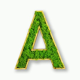 Moosly® Wooden Letter - A - with Wooden Frame, Moss Decorative Letters Sign Symbol Number - Wooden Letter with Real Iceland Moss - Wall Pictures Living Room Decoration Wall Pictures Living Room