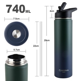 Termo de Acero Inoxidable para Agua Fría y 2 Tapas - Botella Térmica Metálica con Doble Pared para Mantener el Frío Gimnasio, Deportes y Oficina (AzulVerde, 0.7 Litros)