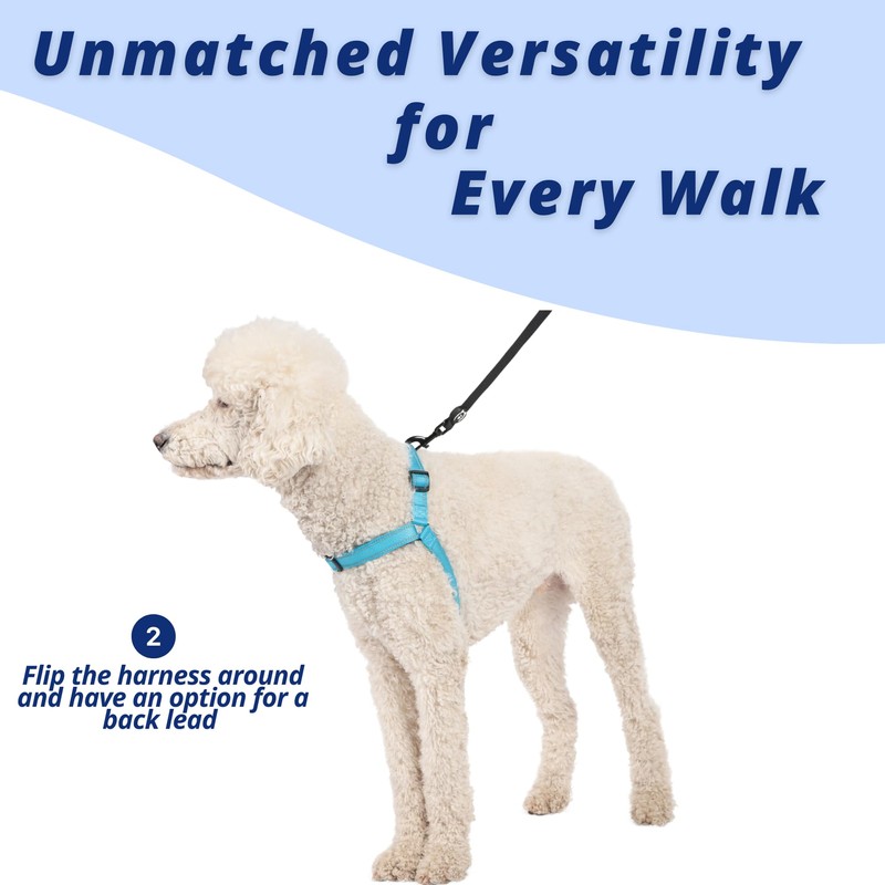 ShawnCo Dream Walk Pro Dog Harness- No-Pull, Comfortable, Adjustable, Easy