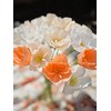 Crepe Paper pennoy Flower DIY Making Kit 24 pcs (Peach
