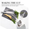 Styled Settings Stainless Steel Knife Set with Built In Sharpener