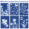 Sun Print Paper Kit Cyanotype Paper, 60 Sheets Cyanotype Papers