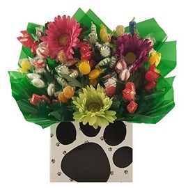 Big Paw Dog - Hard Candy Bouquet gift box - Great as a Birthday, Thank You, Get Well Soon, New Baby, New Home, Congratulations, Valentines Day gift or for any occasion (Many OPTIONS available below)