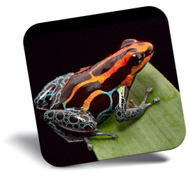 Destination Vinyl ltd Fridge Magnet - Red Striped Poison Dart Frog 16203
