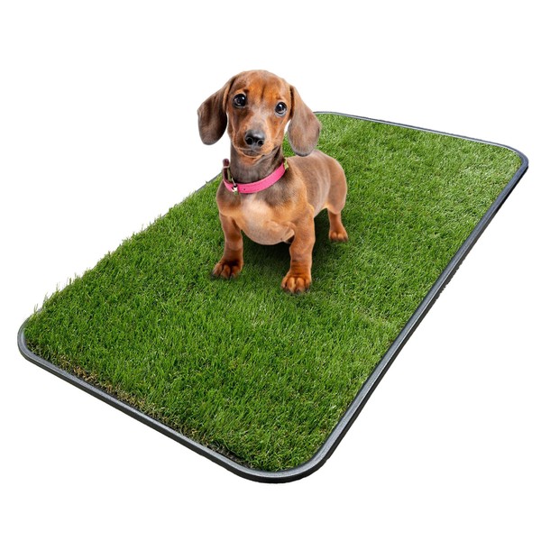 Ottomanson Artificial Grass Puppy Potty Training Pad with Tray, 15"