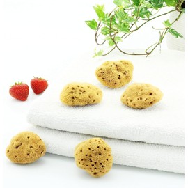 Natürlicher Mediterraner Schwamm für den Körper, nicht synthetisch (5 Stück – großer Schwamm, 6-7 cm)