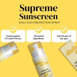 Dog Sunscreen for Body - 6.7 oz Sun Protection - Dog Summer Essentials Water Resistant SPF 30 with Natural Ingredients - Made in the USA