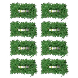 SodPods® St. Augustine Seville Grass Plugs for Lawn Repair, 3" x 3" Each (64-Count) – Cannot Ship to California/Arizona