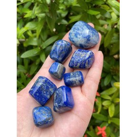 WHOLESALE Lapis Lazuli Tumbled Stones, Polished Lapis Lazuli Gemstone, Lapis Lazuli Polished Rocks (Lapis Lazuli, 0.25 Pound)