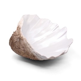 Large EarthTan-White Sea Shells Decorative Bowl Resin Clam Shell Bowl Beach Decorations for Home Coastal Beach Decor Decoration Storage Bowls & Home Office Nautical Themed Party Decor -10.2"-1PC