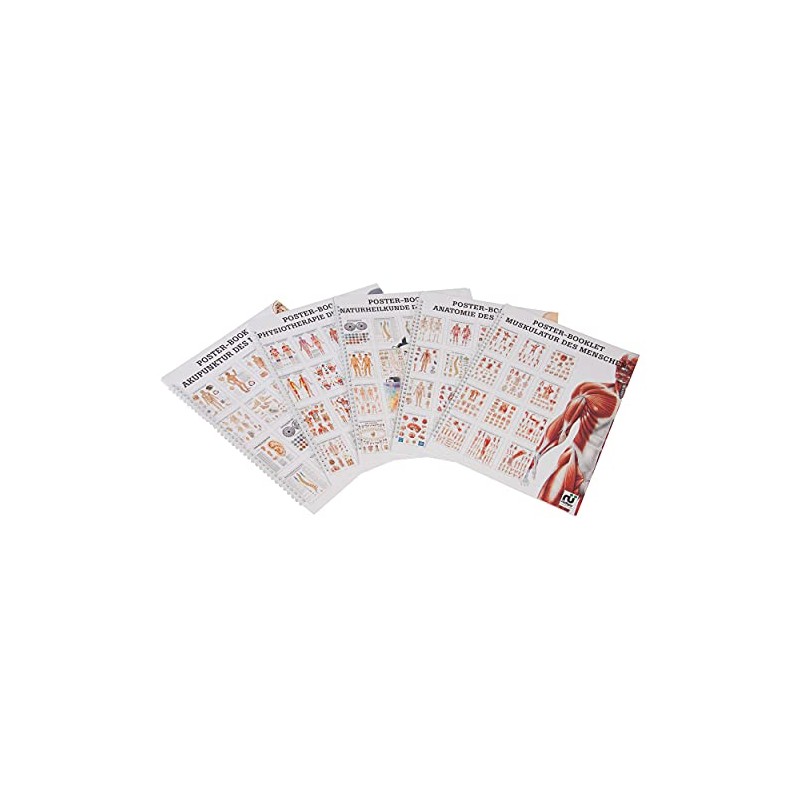 Acupuncture of Man Mini Poster Booklet Anatomy 34 x 24
