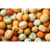 US Snacks Japanese-Style Coated Peanuts (16 Ounce (Pack of 1),