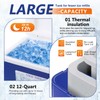 Cold Therapy Machine, Ice Therapy System for Shoulder and Knee