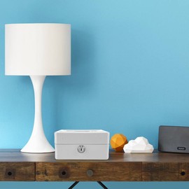 Zerodis Small Cash Box with Key Lock Portable Double Layer Metal Coin Money Storage Security Box (White)