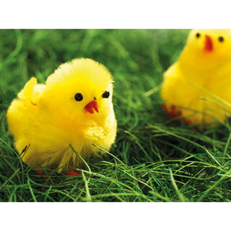 Pack Of 6 Small Fluffy Easter Chicks Cute Mini Yellow