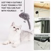 ZWZNBL 1 Set Self-Play Hanging Door Cat Mouse Toys Interactive
