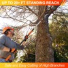 LAANPOLE 26FT Pole Saw, Telescoping Tree Trimmer with 5-20FT Extension