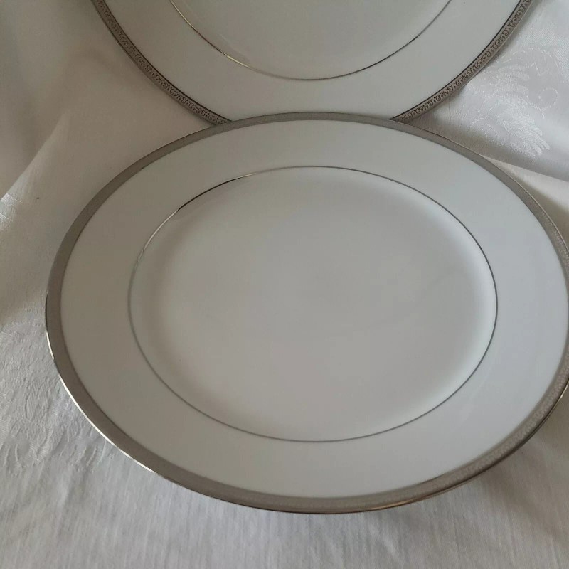 CHARTER CLUB Grand Buffet Platinum Collection 2 Dinner Plates New