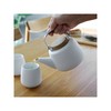 VIVA Nicola White Porcelain Japanese Style Tea pot - 40