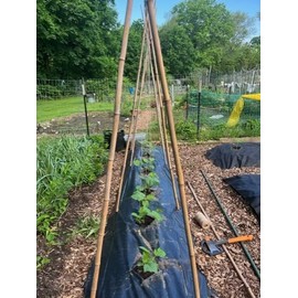 Rocky Mountain Goods Jute Twine 3mm 200 ft - Strong Soft Natural Fiber Brown Jute for Plants, Gardening, Crafts, Macrame, Picture Hanging, Gifts, Crochet, Tomatoes - Garden Twine - Brown Rope Tie