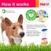 PET YOUR PET No Pee No Poop Dog Potty Training