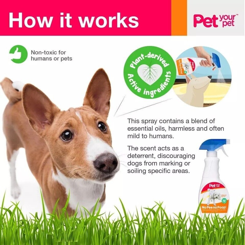 PET YOUR PET No Pee No Poop Dog Potty Training