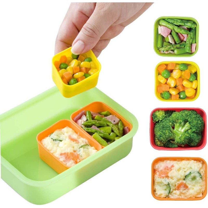 Bento for dividing storage container SMT2SL