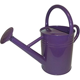 1 Gallon Watering Can Plum