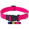 DEY - Premium Nylon Dog Collar | Adjustable | for