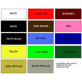 Lion Roar Head King of The Jungle Mane Profile Animal Mural Wall Art Decor Vinyl Sticker P099