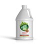 Bed Bug Spray for Getting Rid of Bed Bugs Permanently.