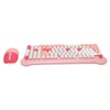 Wireless Keyboard and Mouse 2.4Ghz Connection Cute Keyboard Mouse Set