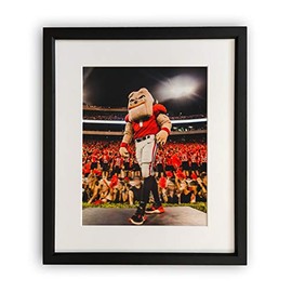 UGA Georgia Bulldogs: Photo Picture Print - Hairy Dawg Football Mascot - University of Georgia Art (Small/Medium: 8"x10", Framed)